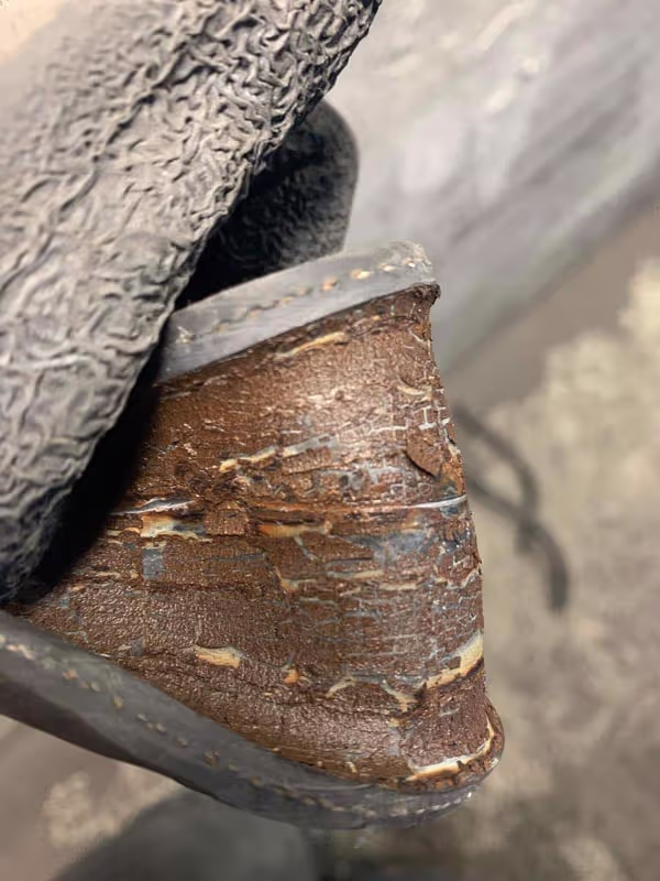 Ein stark korrodierter Schlauch, der durch Materialschäden unbrauchbar wurde und ausgetauscht werden musste.